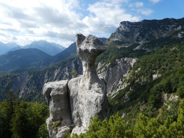 Die pilzförmige Gestalt