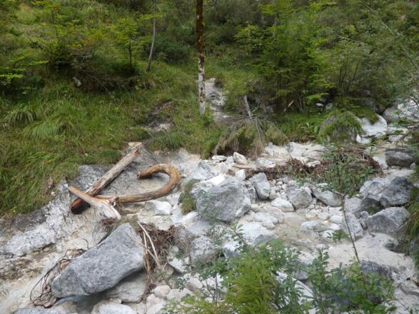 Hier den Weißbach überqueren