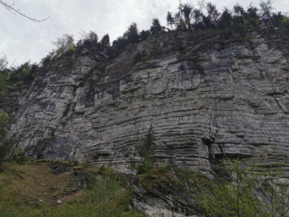 Am Weg rund um den Sarstein