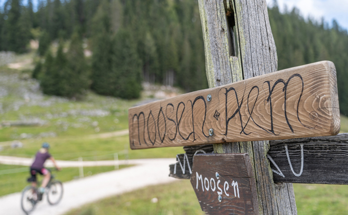 Wegweiser auf der Moosenalm