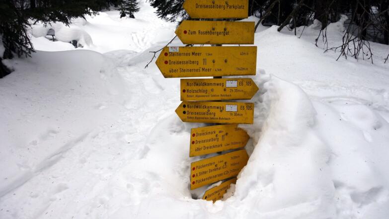 Wegtafelkreuzung ~1155m