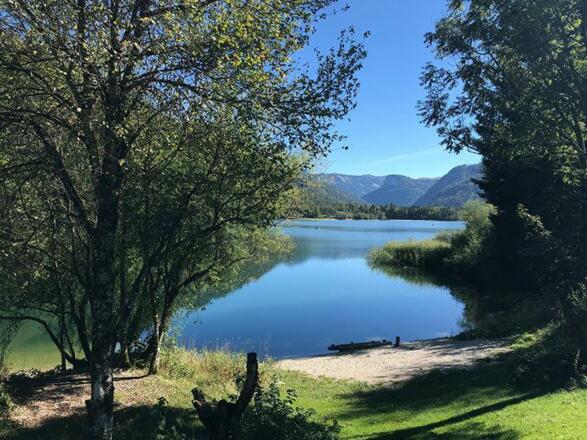 Seeufer am Seestrüberl
