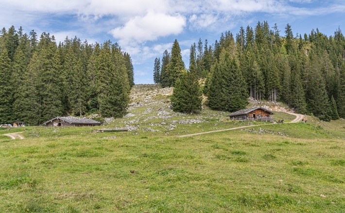 Die Moosenalm am Almerlebnisweg Ramsau