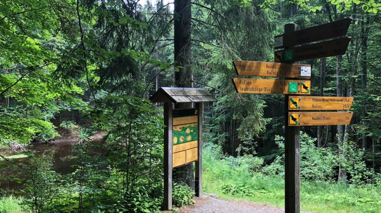 Wege durch Natur und Zeit