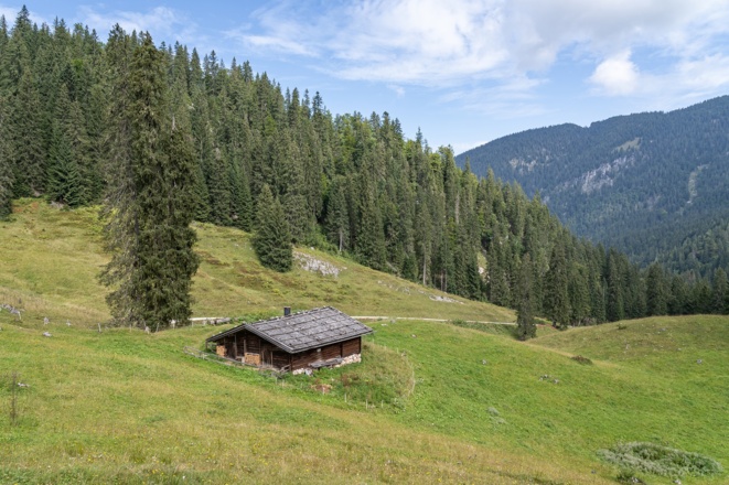 Die Dalsenalm