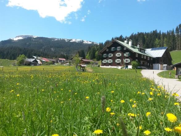 Frühling