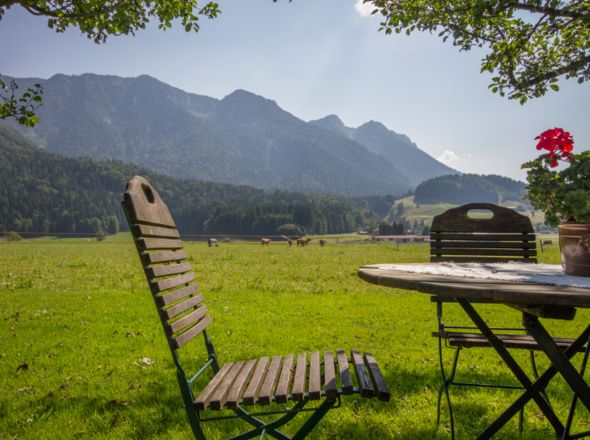 Ausblick auf den Kienberg