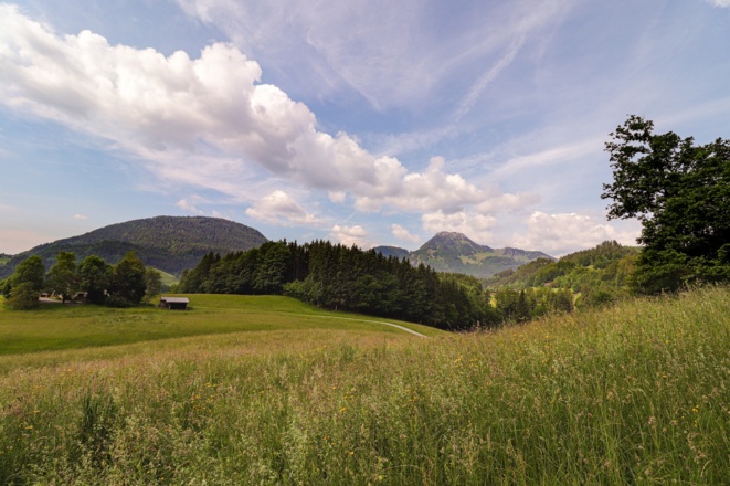 Ausblick beim Rundwanderweg Grauer Stein
