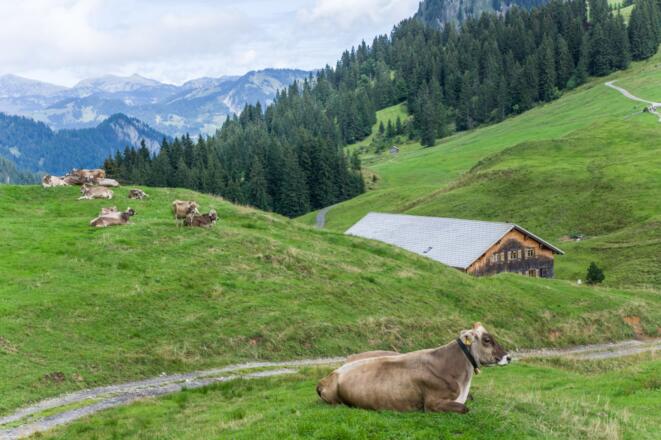 Blick auf Satteleggalpe