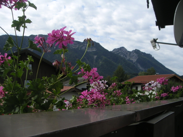 Blick vom Balkon auf den Rauschberg