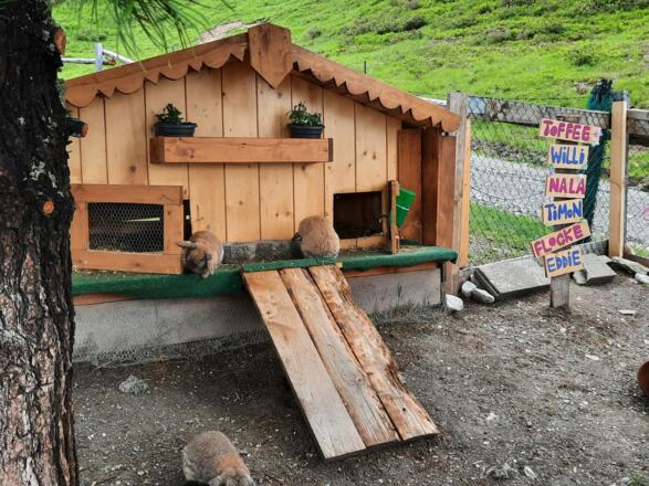 Konijnenhuisje op de Graukogel Zirbenweg