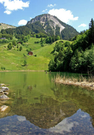 Blick vom Seewaldsee auf die Blasenka
