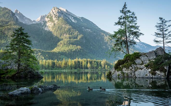Der Hintersee mit den typischen baumbewachsenen Felsen