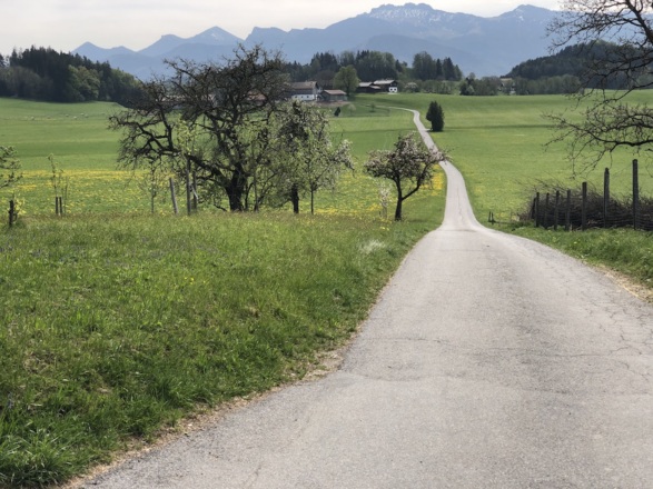 Blick von Mupferting in die Chiemgauer Berge