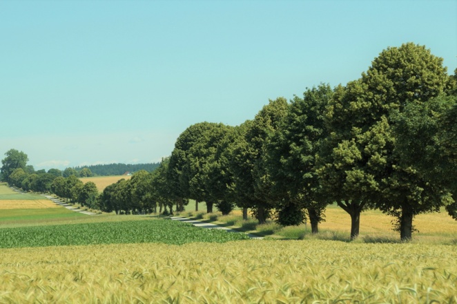 Zwischen Neufahrn und Kranzberg