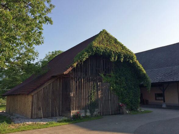 Gasthaus Baumgarten Stadl bei der Linde