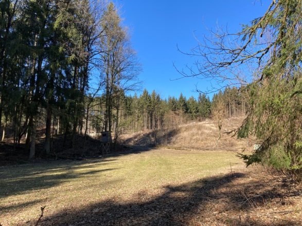 Oberhalb des Weißbachgrundes