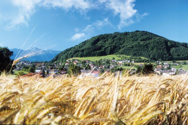 titelbild pinsdorf