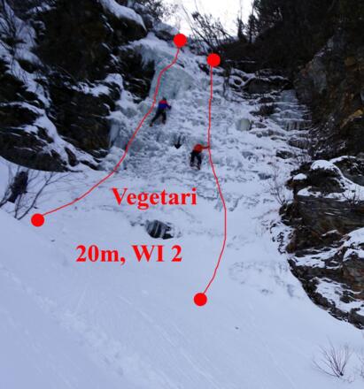 Topo Vegetari
