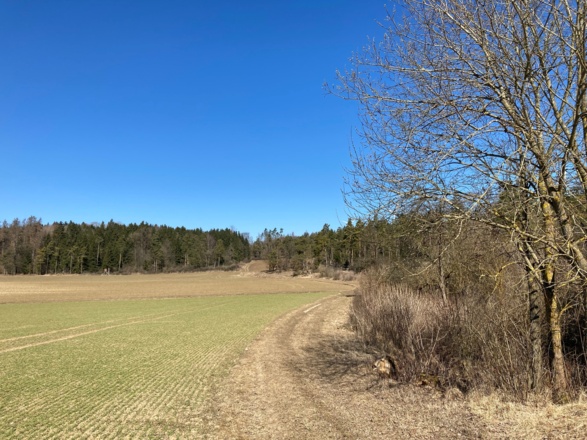 Richtung Mirsdorfer Kuppe
