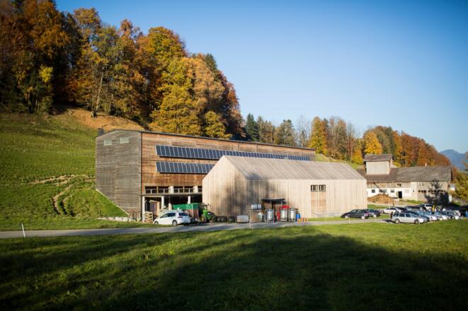 Metzler Käse-Molke GmbH, Egg