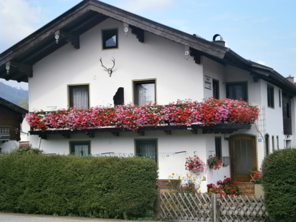 Hausansicht im Sommer