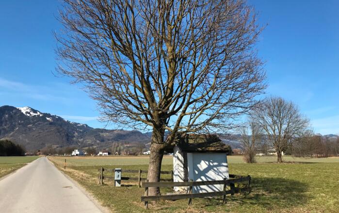 Riedkapelle, Brederis