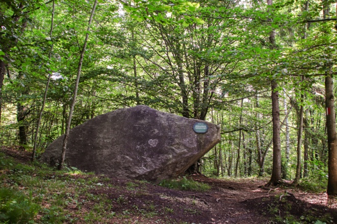 Naturdenkmal Grauerstein