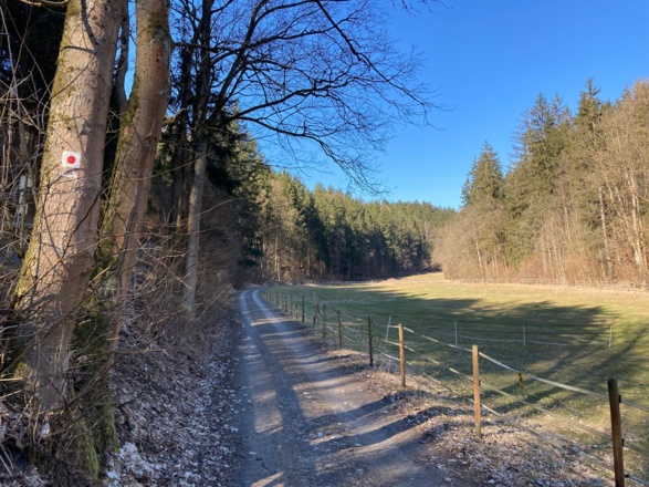 Beginn des Weißbachgrundes