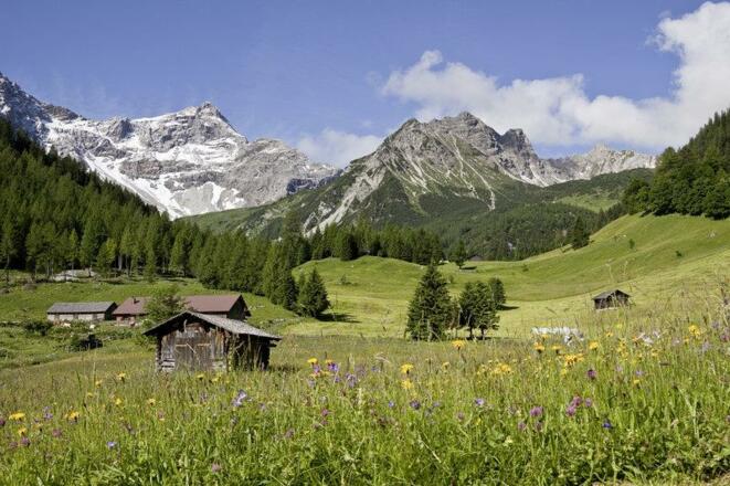 Zalimtal im Brandnertal (c)  Dietmar Walser - Alpe