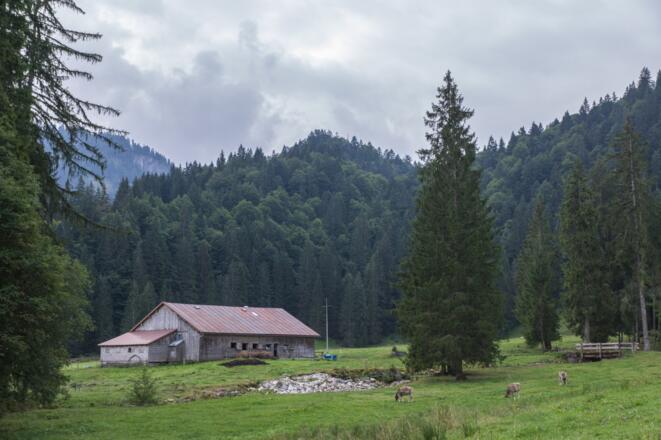 Blick auf Obere Auenalpe