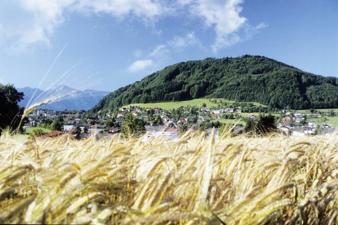 Pinsdorf Panorama