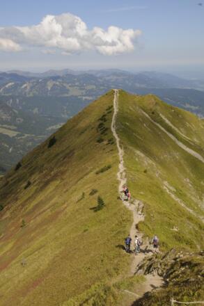 Wie ein begrüntes Hausdach präsentiert sich der Grat in diesem Abschnitt.