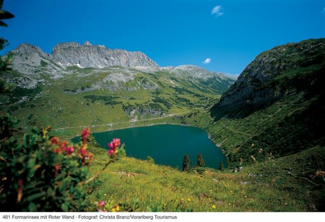 Formarinsee