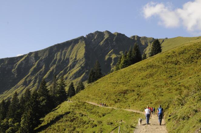 Grüne Flanken und Wiesenhänge prägen den Abschnitt im Bereich der Sölleralpe.
