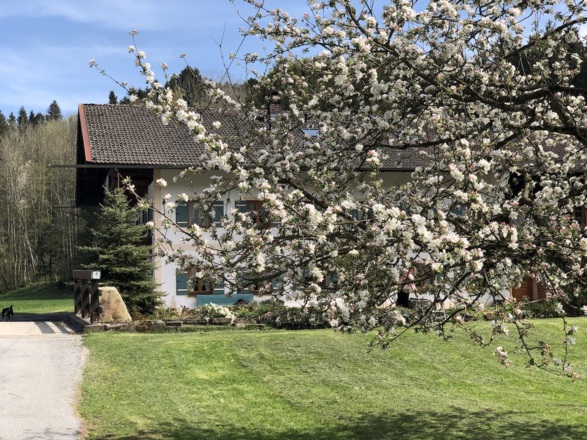 In Mühlthal an der Prien