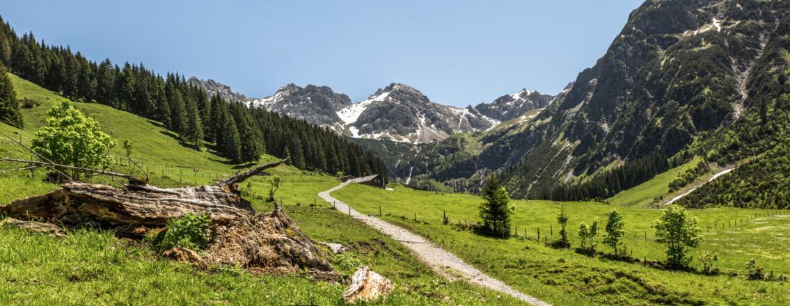 Auf dem Weg zur Oberen Wiesalpe