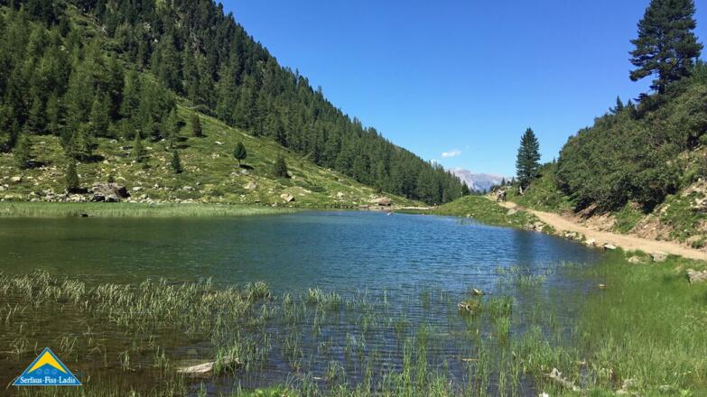 Urgsee