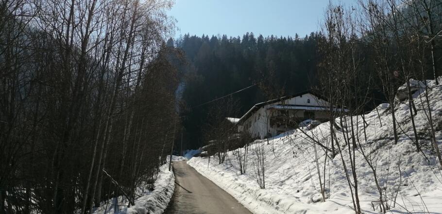 Entlang der Gemeindestraße Richtung Süden