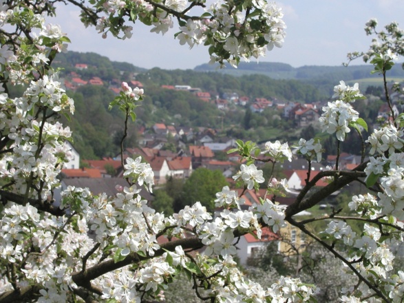 Blick auf Leidersbach