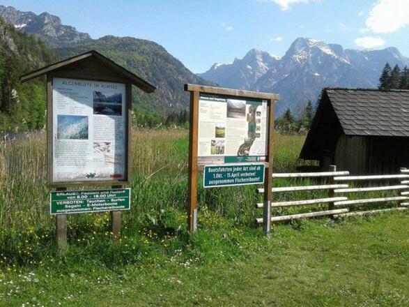Infotafeln am Almsee