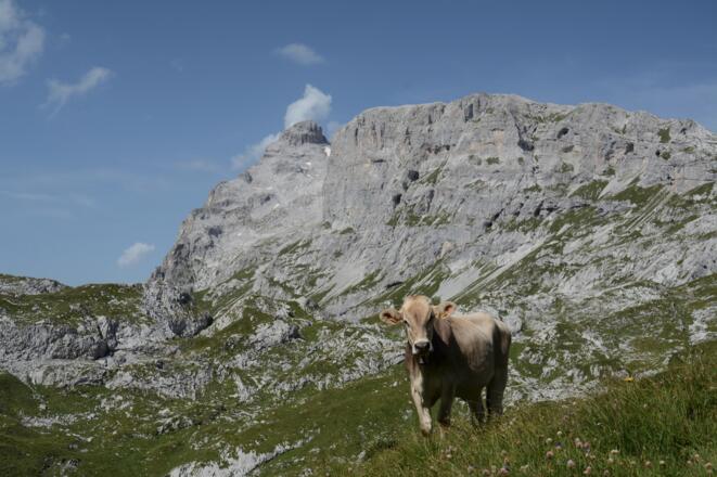 Gruoba Sulzfluh