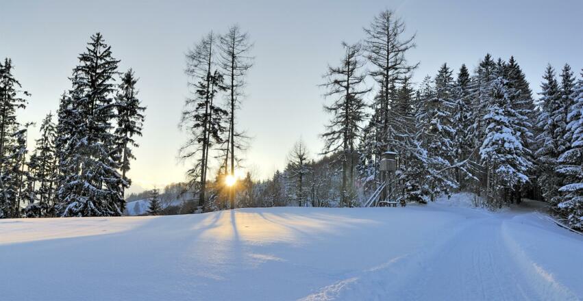 Winter2