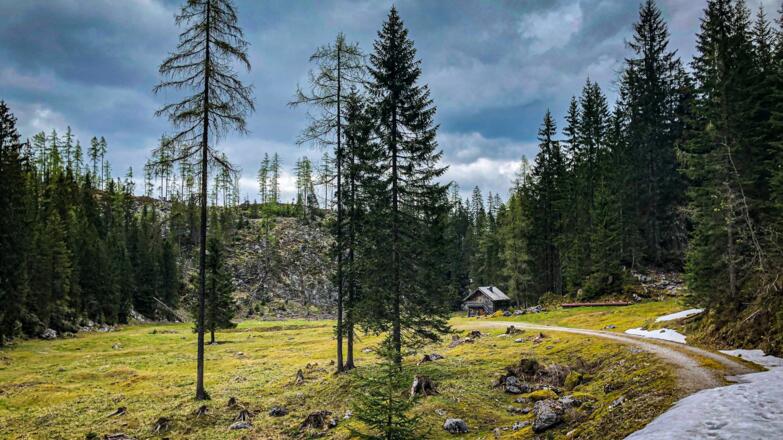 Umkehrpunkt Grubenalm