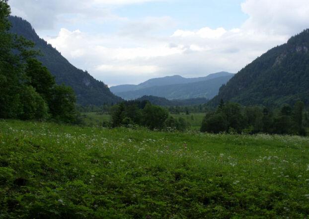 Ausgrabungsstätte Döttenbichl
