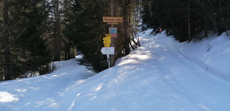Hier halten wir uns links