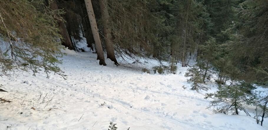 Teilweise steil in Spitzkehren hinauf