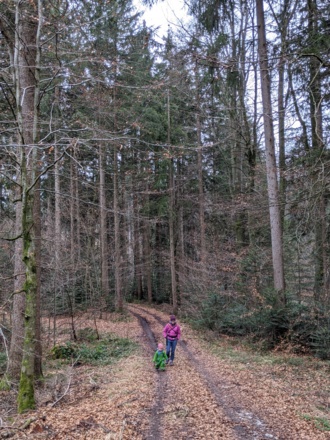 Im Zeller Wald ist etwas Orientierungsvermögen und eine gute Karte gefragt.