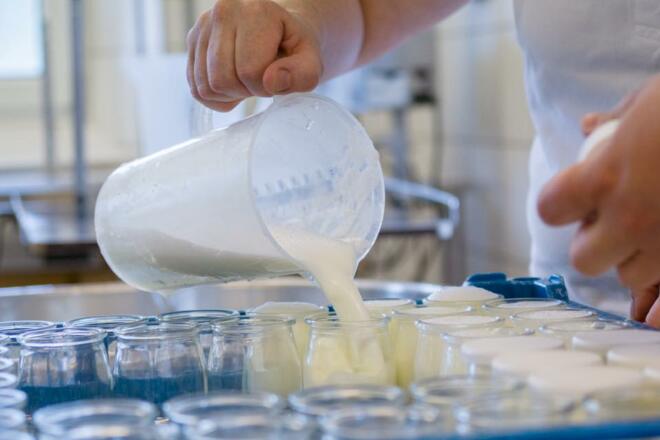 Seegut Eisl Abfüllung Yoghurt