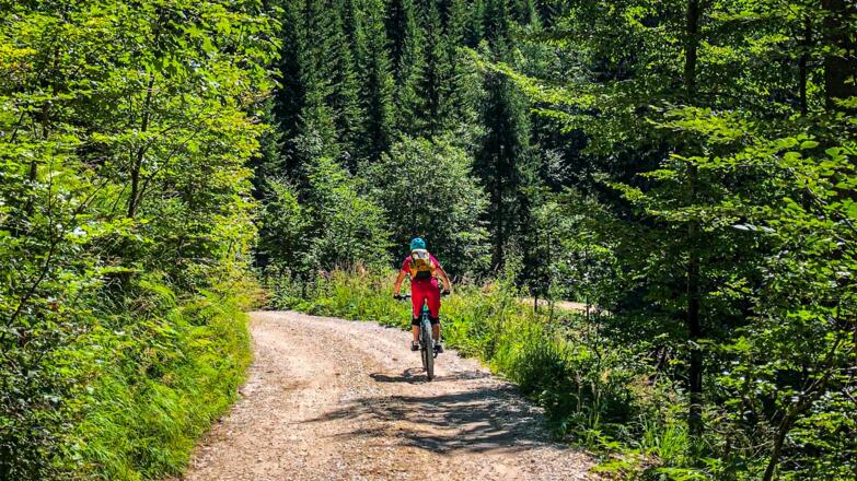 Sattelalm Richtung Echerntal